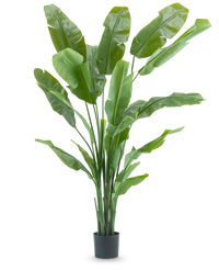 Artificial Plant Strelitzia Nicolai Deluxe 215 cm