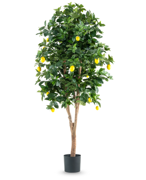 De Kunstplant Citroenboom 180 cm is een hoge, kunstmatige citroenboom met weelderige groene bladeren en levendige gele citroenen tegen een effen witte achtergrond.