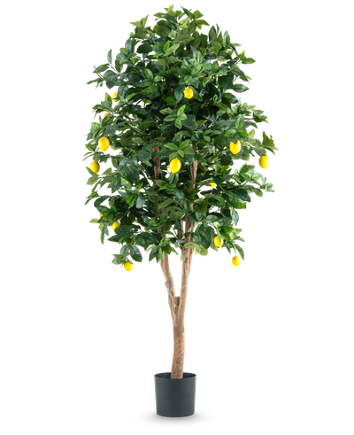 De Kunstplant Citroenboom 180 cm is een hoge, kunstmatige citroenboom met weelderige groene bladeren en levendige gele citroenen tegen een effen witte achtergrond.