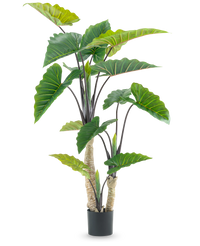 Artificial Plant Calocasia 180 cm