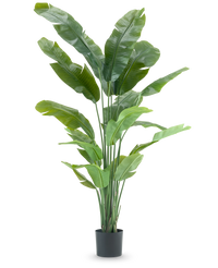 Artificial plant Strelitzia Nicolai Deluxe 195 cm