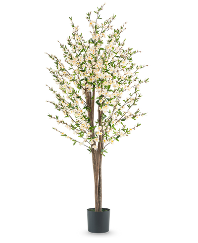 De Kunstplant Kersenbloesem 180 cm crème heeft meerdere bruine stammen, groene bladeren en veel kleine witte bloesems in een zwarte pot, tegen een effen witte achtergrond.