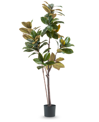 De Kunstplant Yulaniaboom 180 cm is een hoge, onderhoudsvriendelijke kunstplant met brede glanzende groene en bruine bladeren, meerdere slanke stelen en een zwarte cilindrische pot, tegen een effen witte achtergrond.
