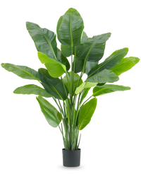 Artificial plant Strelitzia Real Touch Deluxe 180 cm
