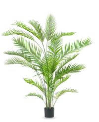 Artificial plant Chamaedorea 180 cm