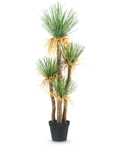 De Kunstplant Yucca deluxe 182 cm is een hoge kunstyucca met meerdere houtachtige stengels en trossen lange, puntige groene bladeren en wat vergeling aan de basis, perfect als decoratiestuk voor elke ruimte.