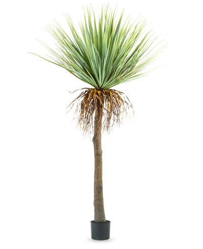 De Kunstplant Yucca 153 cm heeft een hoge, ruwe bruine stam met groene stekelige bladeren aan de bovenkant en wat gedroogde bladeren aan de onderkant, tegen een effen witte achtergrond.