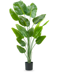 Artificial Plant Strelitzia 180 cm Real Touch