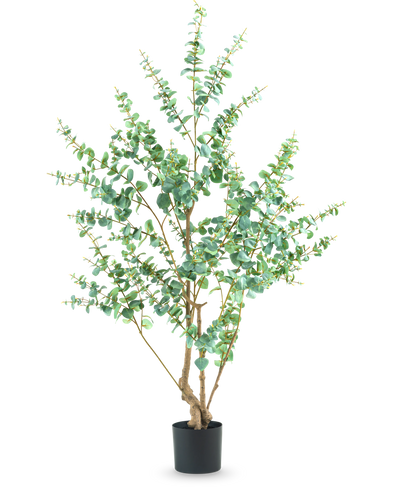 De Kunstplant Eucalyptus 180 cm is een hoge kunstplant met slanke takken en ronde groene bladeren, weergegeven in een eenvoudige zwarte pot tegen een witte achtergrond.