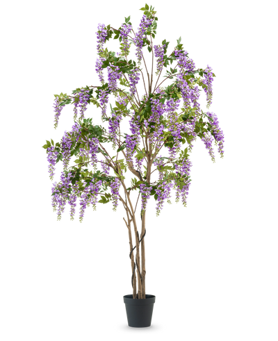 De Kunstplant Blauweregen 280 cm is een hoge kunst blauwe regen boom in een zwarte pot, met meerdere slanke bruine stammen en cascade paarse bloemen met groene bladeren, tegen een effen witte achtergrond.