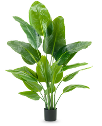 Artificial plant Strelitzia Real Touch Deluxe 150 cm