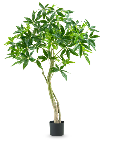 De Kunstplant Pachira 150 cm is een hoge kamerplant in pot met meerdere slanke stammen en trossen brede, glanzend groene bladeren tegen een effen witte achtergrond.