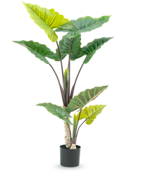 Artificial Plant Calocasia 150 cm