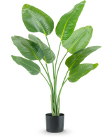 De Kunstplant Strelitzia 120 cm real touch heeft hoge, groene, omhoog groeiende langwerpige bladeren in een zwarte plantenbak, tegen een effen witte achtergrond.