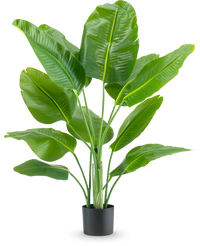 Artificial plant Strelitzia Real Touch Deluxe 120 cm