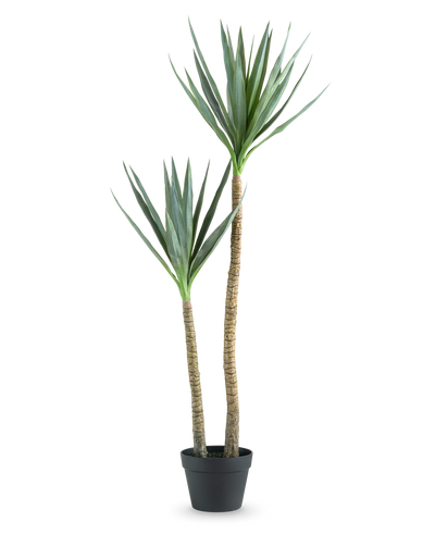 De Kunstplant Heneken 120 cm is een kunstmatige yucca plant met twee hoge, slanke stammen en puntige groene bladeren tegen een effen witte achtergrond.