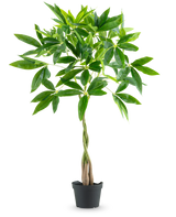 De Kunstplant Pachira 90 cm is een geldboom in pot met een gevlochten stam en trossen glanzend groene bladeren, geïsoleerd afgebeeld op een witte achtergrond.