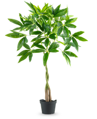 Artificial plant Pachira 90 cm