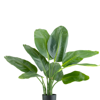 De Kunstplant Strelitzia Real Touch Deluxe 90 cm is een hoge potplant met grote, glanzend groene bladeren, afgebeeld tegen een effen witte achtergrond.
