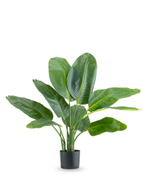 Artificial plant Strelitzia Real Touch Deluxe 90 cm