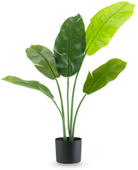 Artificial Plant Strelitzia Nicolai Deluxe 90 cm