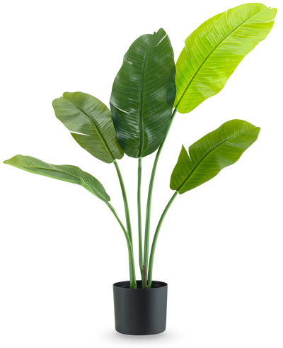 De Kunstplant Strelitzia Nicolai Deluxe 90 cm heeft grote, glanzend groene bladeren op lange stelen en wordt gepresenteerd in een eenvoudige zwarte pot tegen een effen witte achtergrond.