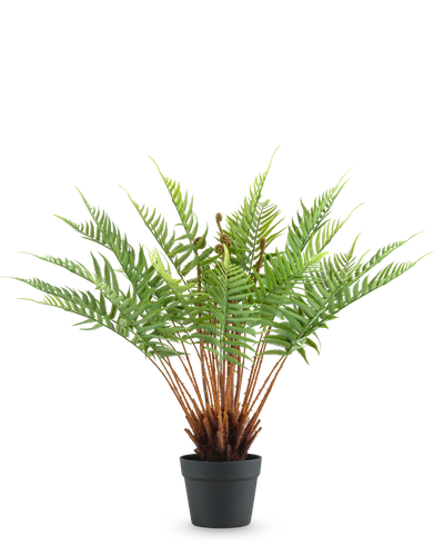 De Kunstplant Varen 66 cm is een kunstvaren in pot met lange, donzige groene bladeren en bruine stengels, tegen een effen witte achtergrond.