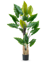 Artificial Plant Calocasia 210 cm