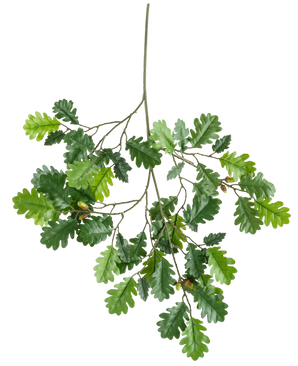 De Kunsttak Eikentak 67 cm FR heeft een tak met verschillende groene eikenbladeren en een paar eikels tegen een witte achtergrond.
