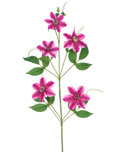 De Kunstbloem Clematis dubbel 78 cm paars heeft vijf stervormige, paarse dubbele bloesems met groene bladeren en krullende ranken op slanke stelen, tegen een witte achtergrond.