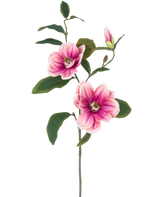 De Kunstbloem Magnolia 82 cm roze/wit heeft een enkele steel met twee grote roze-witte magnolia bloemen, een knop en verschillende donkergroene bladeren, tegen een effen witte achtergrond.