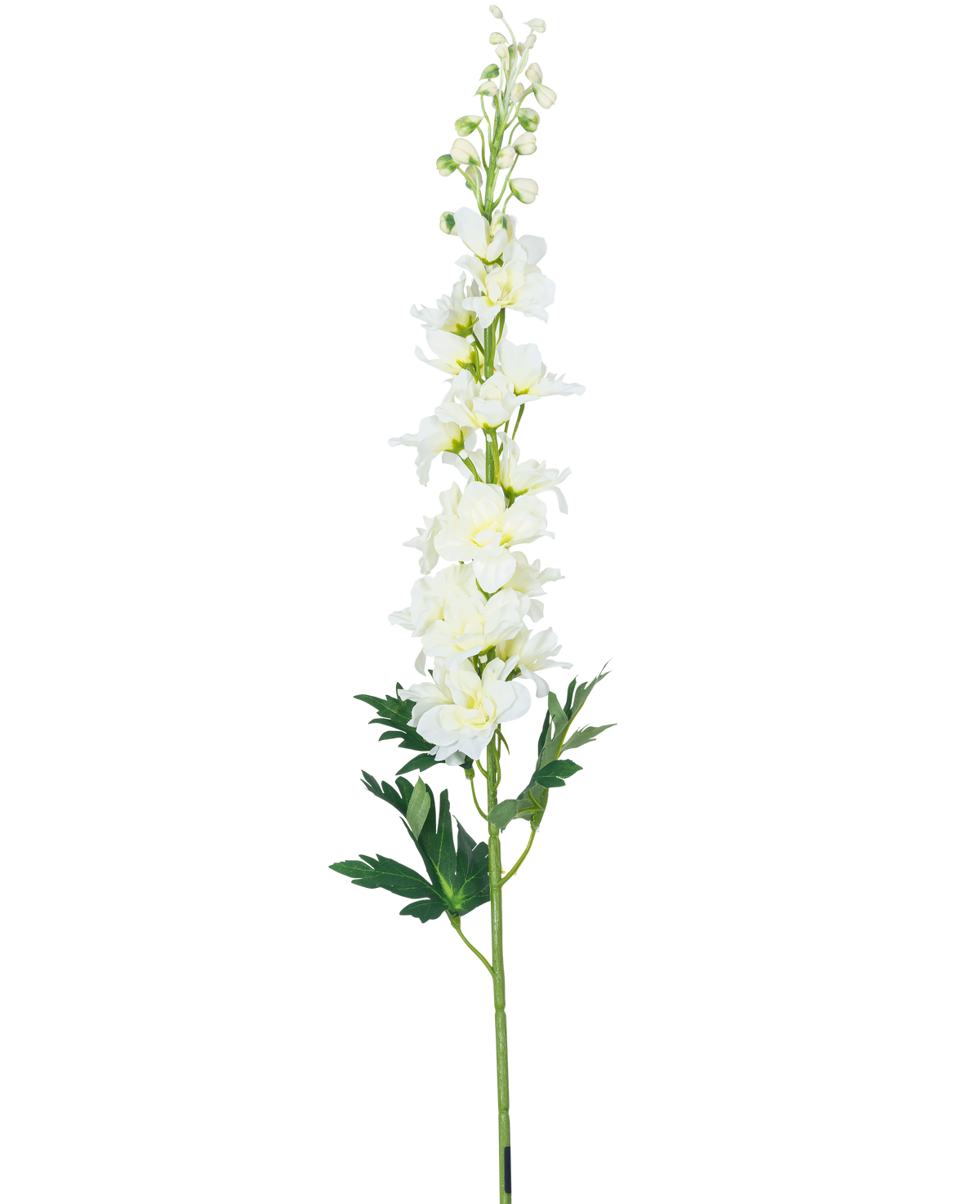The Artificial Flower Delphinium 79 cm white has a long white delphinium stem with multiple flowers and green leaves, isolated on a white background.
