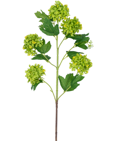 De Kunsttak Sneeuwbal 77 cm groen heeft een enkele stengel met verschillende trossen ronde, groengele bloemen en donkergroene, gekartelde bladeren, alles tegen een witte achtergrond.