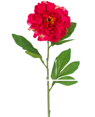 De Kunstbloem Pioen 77 cm rood is een enkele kunstpioenroos met een grote, levendige rode bloem en groene bladeren op een lange steel, afgebeeld tegen een witte achtergrond.