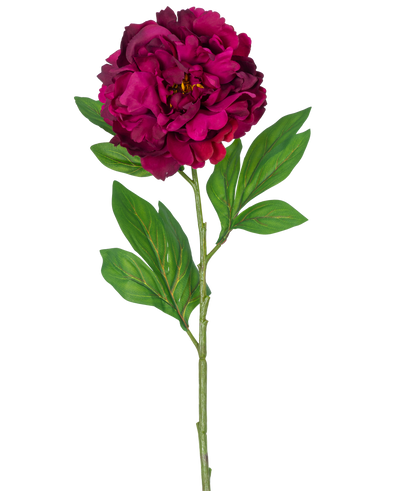 Een enkele Kunstbloem Pioen 77 cm aubergine kunststengel, met daarop een diep magenta pioenroos met enkele groene blaadjes, tegen een effen witte achtergrond.