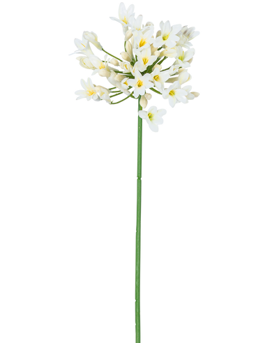 De Kunstbloem Agapanthus 77 cm wit heeft een enkele hoge groene steel met daarop een tros kleine witte bloemen met een geel hart, tegen een effen witte achtergrond.