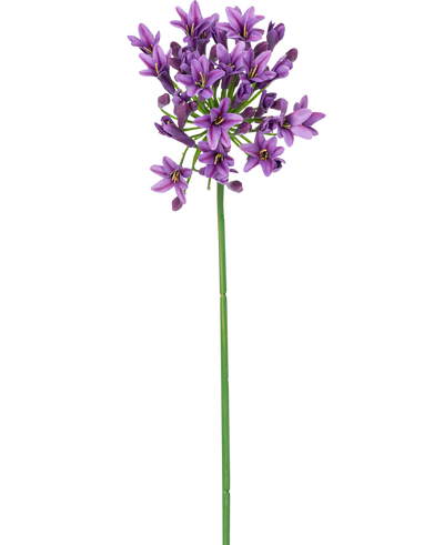Een enkele lange groene stengel met aan de top bloeiende trosjes kleine, stervormige paarse Kunstbloem Agapanthus 77 cm paars bloemen, geïsoleerd op een witte achtergrond.