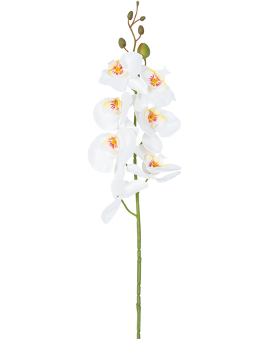 De Kunstbloem Orchidee 84 cm wit heeft een enkele steel van witte orchideeënbloemen met gele en roze hartjes en groene bloemknoppen bovenaan, tegen een effen witte achtergrond.