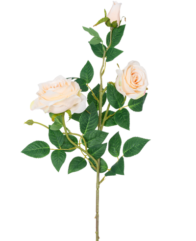 De Kunstroos Neo deluxe 75 cm beige heeft een enkele steel met twee lichtbeige bloeiende rozen, een rozenknop en verschillende groene bladeren, tegen een effen witte achtergrond.