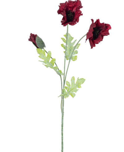 De Kunstbloem Klaproos 73 cm bordeaux heeft een enkele steel met twee open donkerrode klaproosbloemen, een knop en verschillende groene gekartelde bladeren tegen een witte achtergrond.