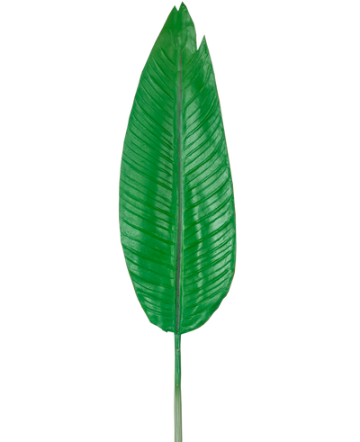 De Kunstblad Strelitzia 110cm is één groot, groen kunstblad met een prominente middennerf en zichtbare zijnerven, afgebeeld tegen een effen witte achtergrond.