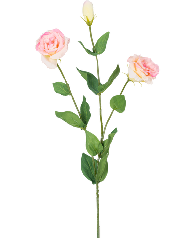 De Kunst Eustoma Real Touch Lichtroze 72cm heeft een enkele groene steel met twee bloeiende lichtroze bloemen en een gesloten knop, omringd door groene bladeren, tegen een effen witte achtergrond.