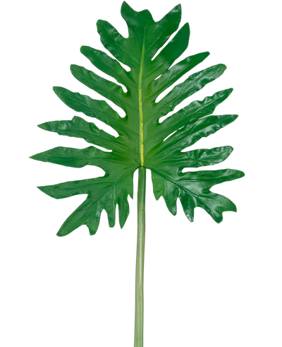 Een Kunstblad Philodendron 68cm, met een groot groen tropisch blad met diepe, onregelmatige lobben en een lange centrale steel, wordt getoond tegen een effen witte achtergrond.