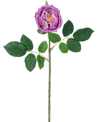 Artificial garden rose 