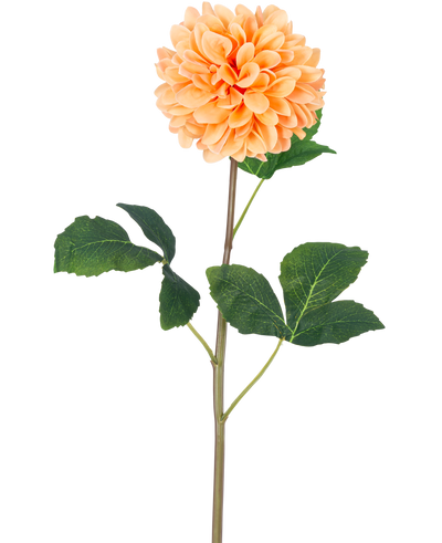 De Kunstbloem Dahlia Real Touch Perzik 73 cm heeft een enkele perzikoranje dahlia met veel bloemblaadjes op een lange groene steel en verschillende grote groene bladeren met textuur, tegen een effen witte achtergrond.