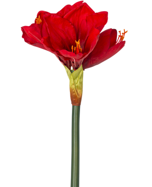 Artificial flower amaryllis real touch red 66 cm