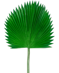 Artificial magazine Washingtonia 105cm
