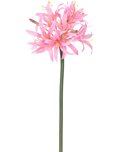 De Kunstbloem Nerine 70 cm roze heeft een hoge groene steel met daarop een tros tere, spinroze bloemen met lange bloemblaadjes en gele meeldraden, tegen een effen witte achtergrond.