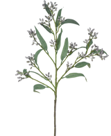 De Kunsttak Eucalyptus bes 78 cm grijs heeft een enkele groene tak met lange, smalle bladeren en trosjes kleine, grijsachtige knoppen, afgebeeld tegen een witte achtergrond.