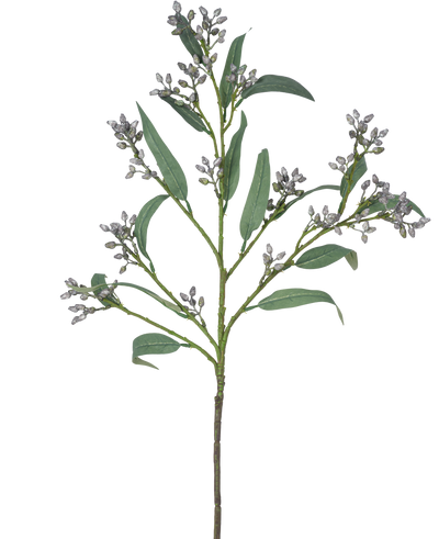 De Kunsttak Eucalyptus bes 78 cm grijs heeft een enkele groene tak met lange, smalle bladeren en trosjes kleine, grijsachtige knoppen, afgebeeld tegen een witte achtergrond.